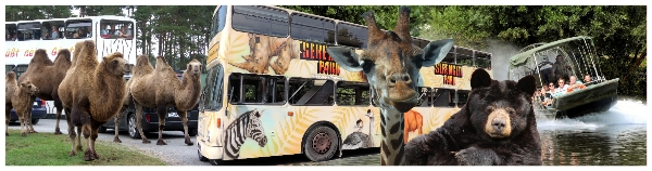LE-Tours Herbstferienlager Serengeti Park3 mR_600