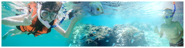 LE-Tours Kroatien-Schnorcheln_600