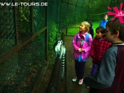 herbstferienlager-arendsee-1-dg-2014-102