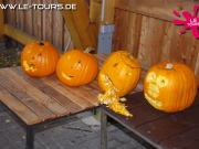 herbstferienlager-arendsee-1-dg-2014-143