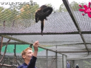 herbstferienlager-arendsee-1-dg-2014-232