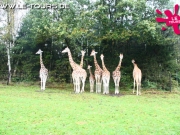 herbstferienlager-arendsee-1-dg-2014-84