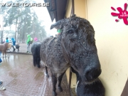 herbstferienlager-arendsee-1-dg-2014-86