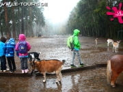 herbstferienlager-arendsee-1-dg-2014-88