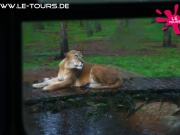 herbstferienlager-arendsee-1-dg-2014-91