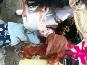 le-tours-2009-2-dg-62