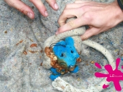 le-tours-2009-2-dg-64