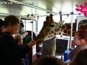 herbstferienlager-arendsee-2-dg-2014-101