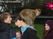 herbstferienlager-arendsee-2-dg-2014-112