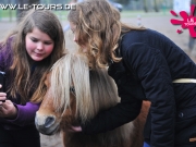 herbstferienlager-arendsee-2-dg-2014-227