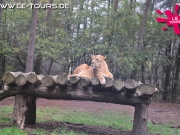 herbstferienlager-arendsee-2-dg-2014-231