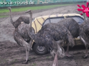 herbstferienlager-arendsee-2-dg-2014-232