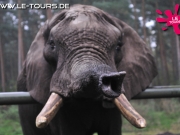 herbstferienlager-arendsee-2-dg-2014-234