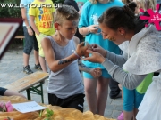 arendsee-4-dg-2014-235