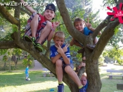 arendsee-1-dg-2014-180