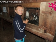 arendsee-6-dg-2014-42