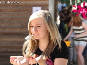 arendsee-3-dg-2013-15