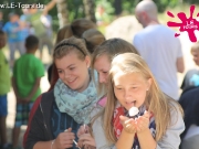 arendsee-3-dg-2013-16