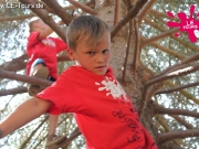 arendsee-3-dg-2013-192