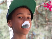 arendsee-3-dg-2013-36