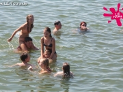 arendsee-3-dg-2013-72