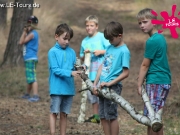 arendsee-4-dg-2013-61