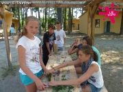 bollmannsruh-2-dg-2013-146