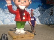 bollmannsruh-1-dg-105