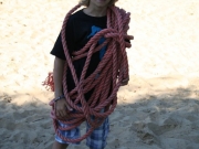 bollmannsruh-1-dg-83