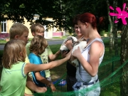 bollmannsruh-1-dg-97