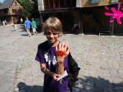 bollmannsruh-2-dg-129