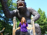 bollmannsruh-2-dg-133