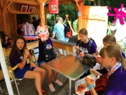 bollmannsruh-2-dg-135