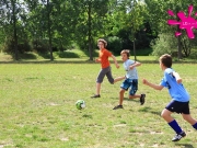 bollmannsruh-2-dg-39