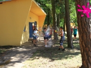 bollmannsruh-2-dg-42