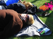 bollmannsruh-2-dg-60