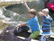 groemitz-3-dg-2014-105