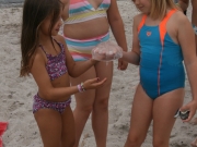 groemitz-3-dg-2014-36