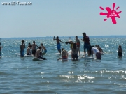 groemitz-2-dg-2013-11