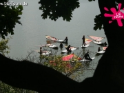 luetow-2-dg-2013-188