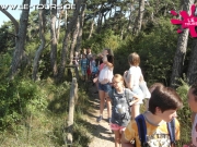 luetow-1-dg-2014-101