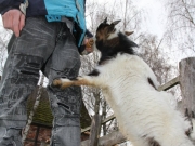 le-tours_ostercamp_2012-342