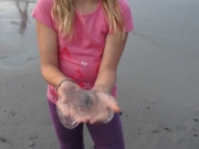 scharbeutz-3-dg-2014-16